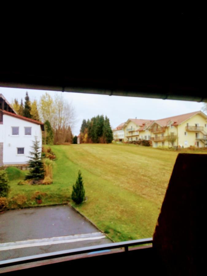 Waldblick