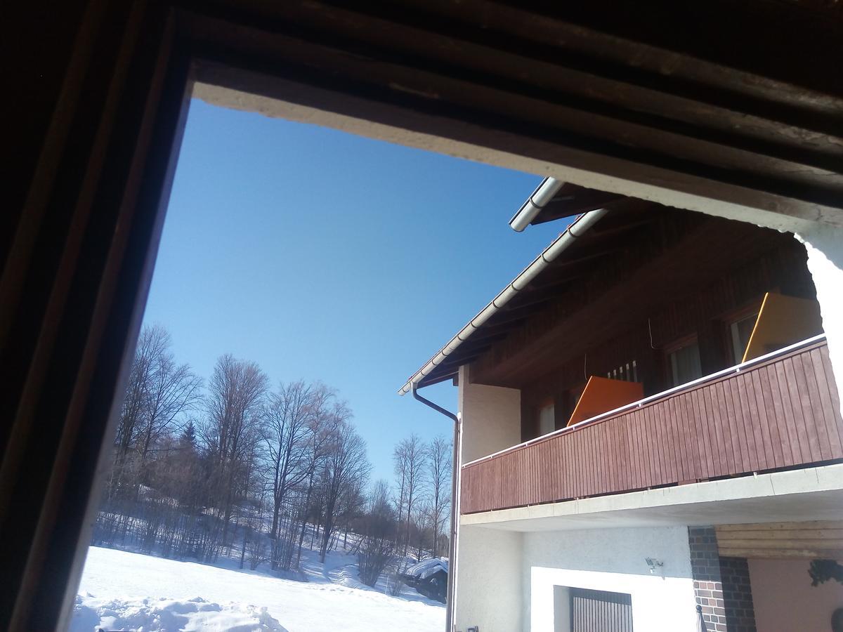 Waldblick 2*