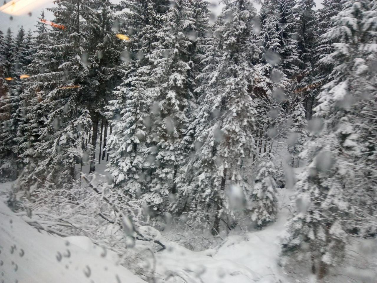 Gasthof Waldblick 2*